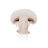 PRODUCT Two