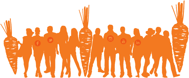 The Social Carrot Group